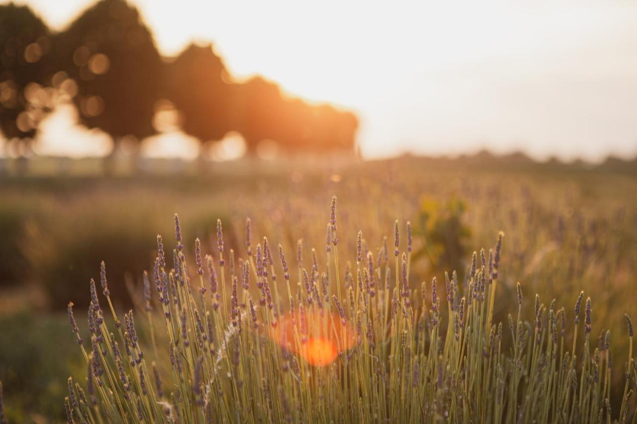 Il Capitolo Farm stay