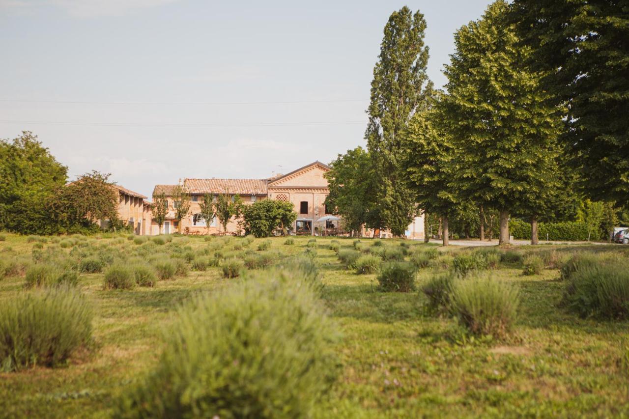 Farm stay Il Capitolo