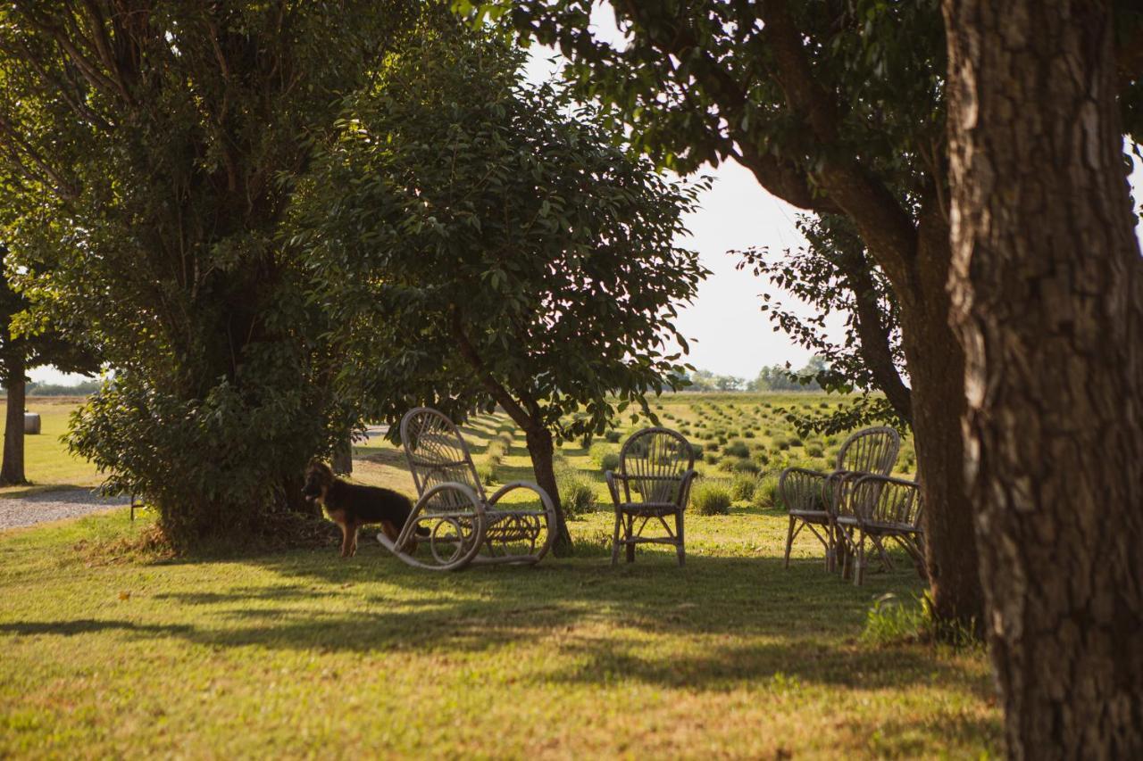 Il Capitolo Farm stay Carpaneto Piacentino