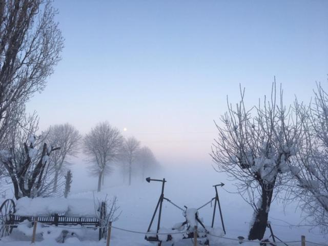 Farm stay Il Capitolo
